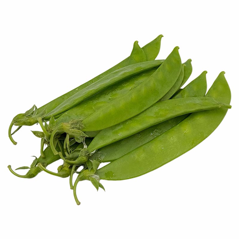 Snow Pea
