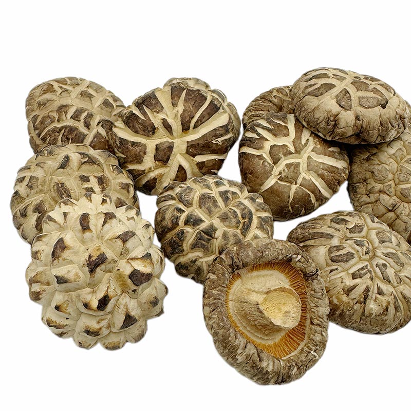 Dried Shiitake
