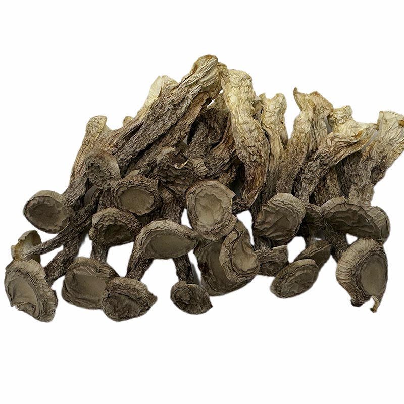 Dried Antler Mushroom
