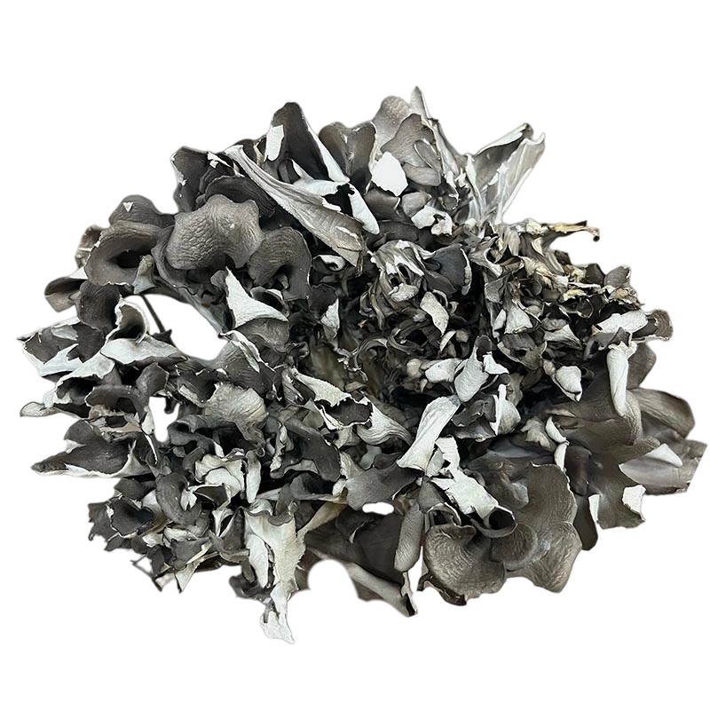Dried Maitake