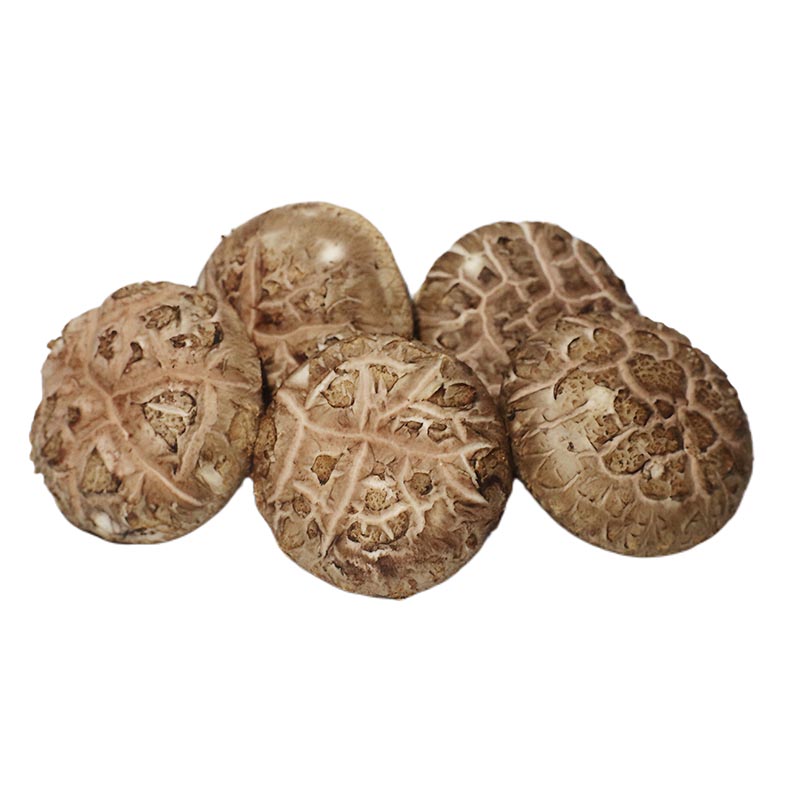 Shiitake