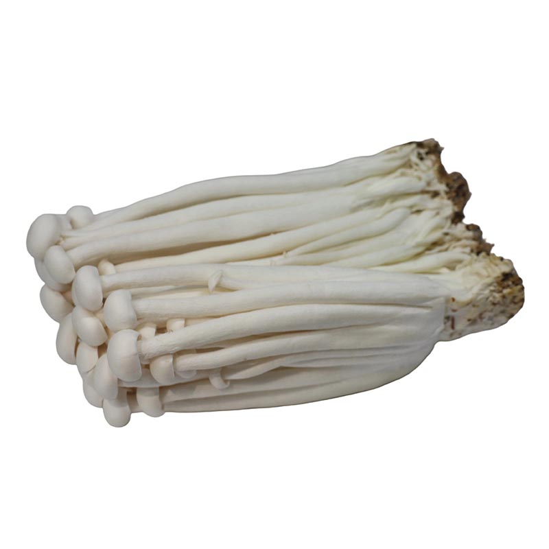 Seafood Mushroom