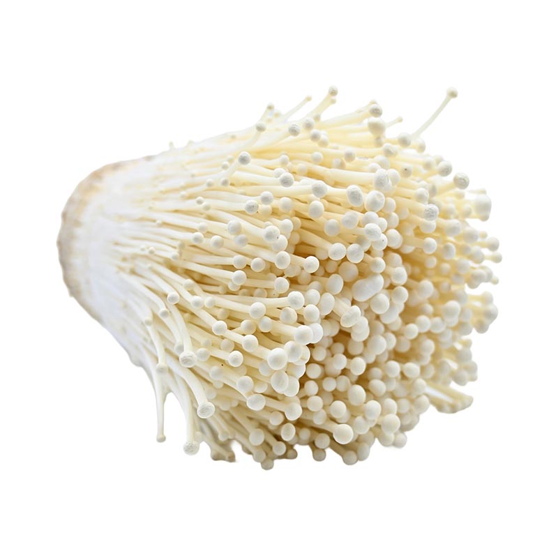 Enoki Mushroom