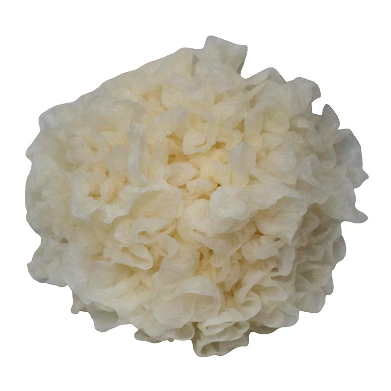 Snow Fungus/Fresh Tremella