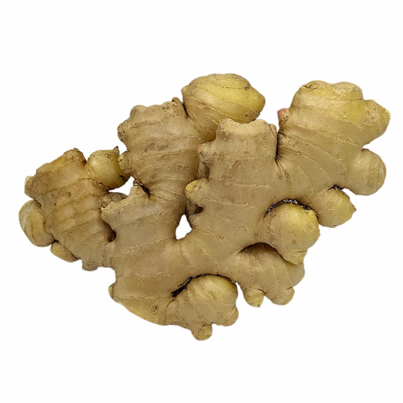 Ginger