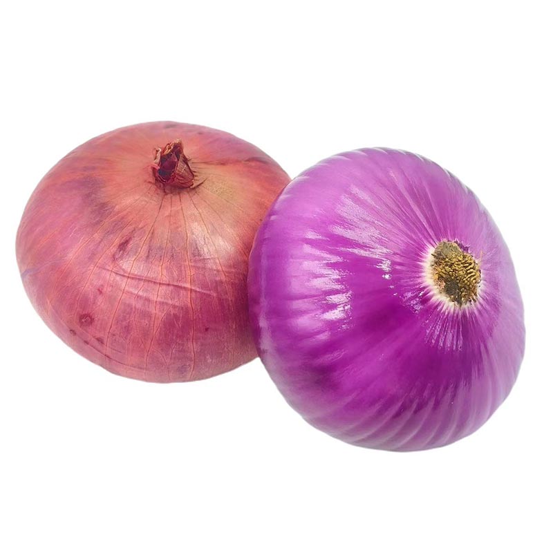 Onion