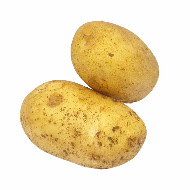 Potato