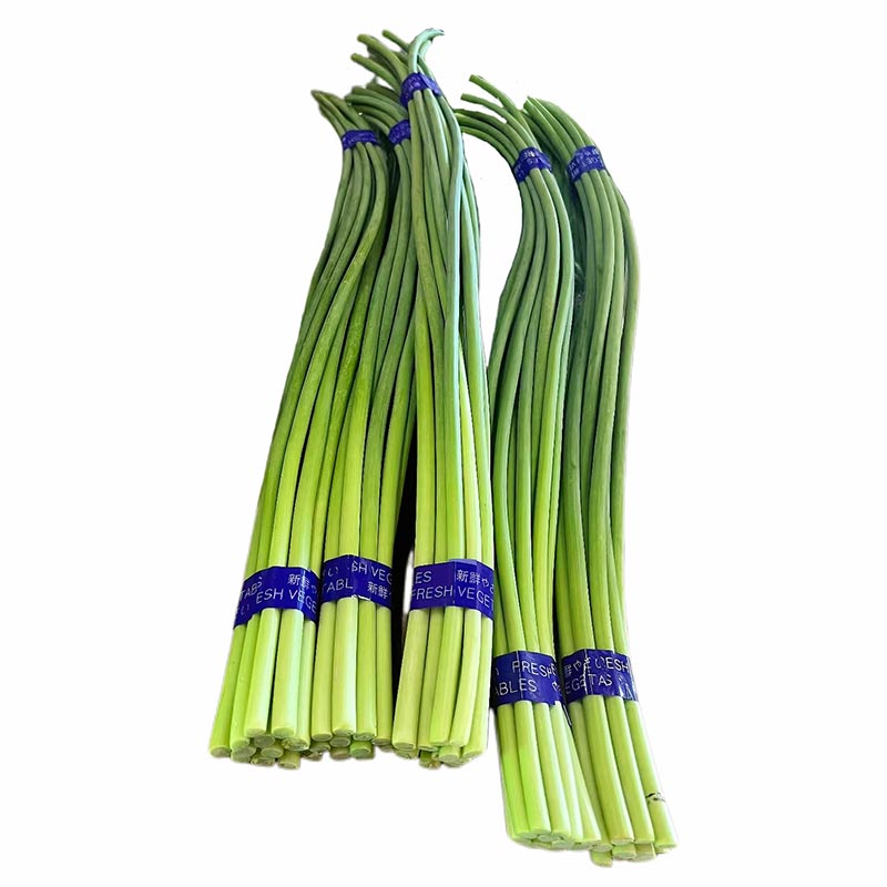 Garlic Shoot