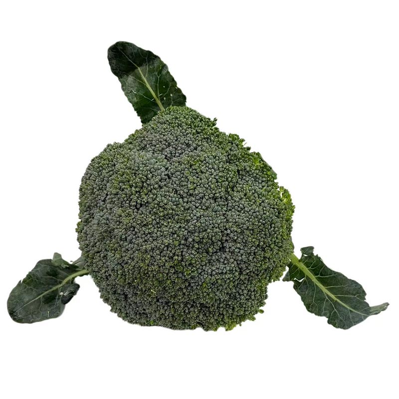 Broccoli
