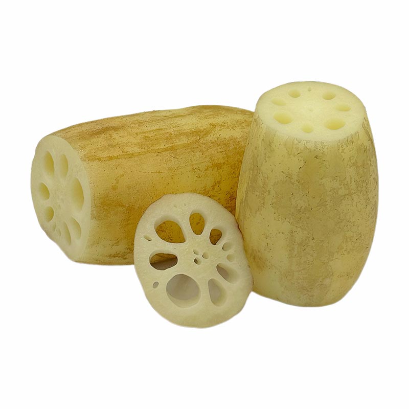 Lotus Root