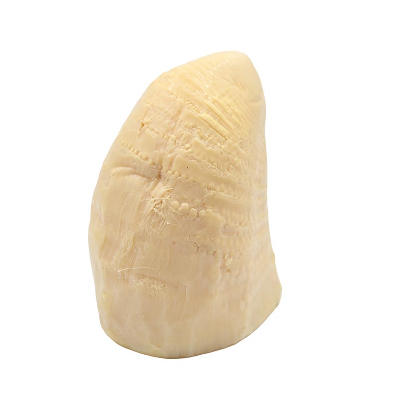 Poached Winter Bamboo