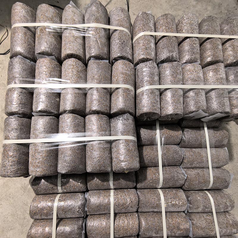 King Oyster Mushroom Spawn