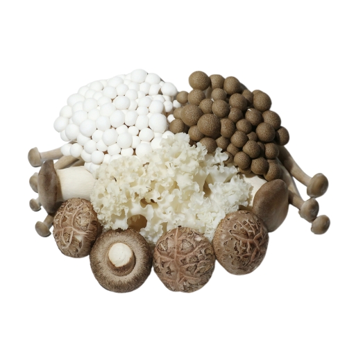 Fresh Edible Mushrooms
