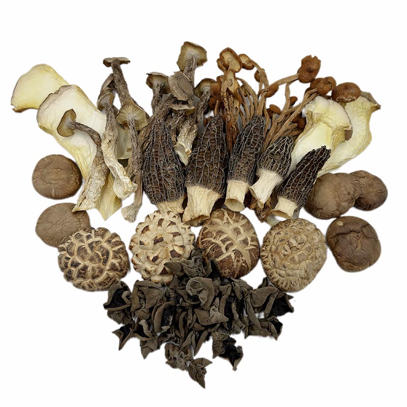 Dried Mushrooms